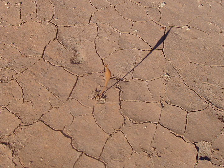 Thing casting a shadow