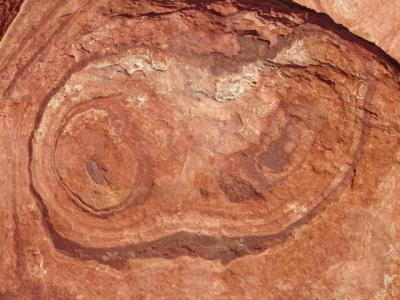 The swirls have eyes