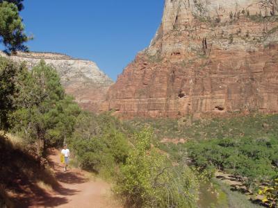 Trail along Virgin River