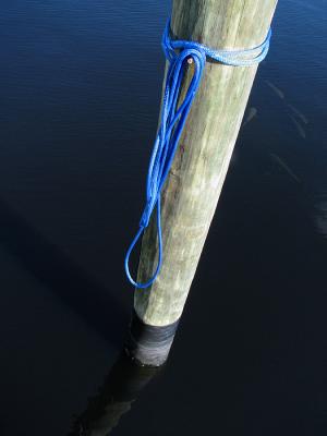 v3/14/358814/3/45748113.CanonTalkForumminichallengeabstractfishpole.jpg