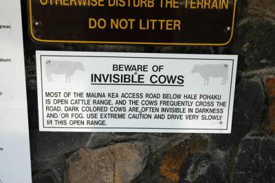 Beware of Invisible Cows