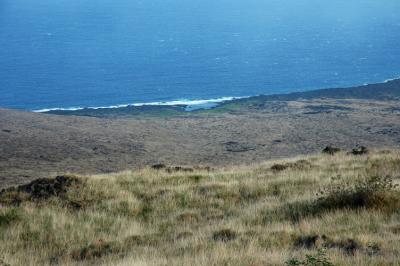 Grasses, Bench and Pacific