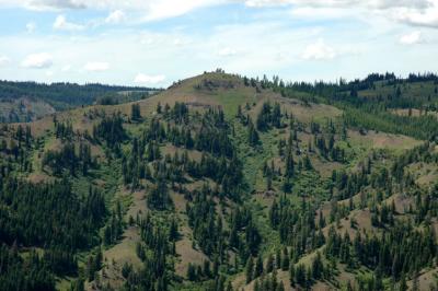 Mt. Misery