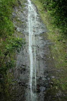 Generic Manoa Falls