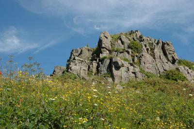 Outcropping with Flowers