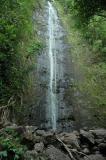 One Last Manoa Falls