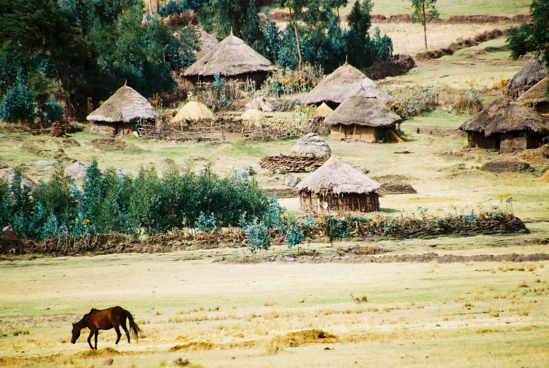 village