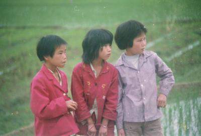 by the rice field