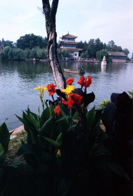 Henan