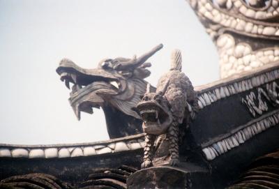 dragons
