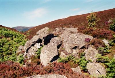 on the Rowan hill.jpg