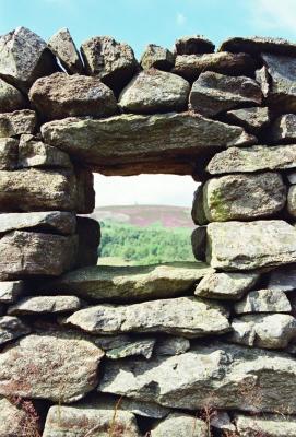 window2.jpg