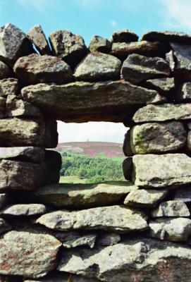 window3.jpg