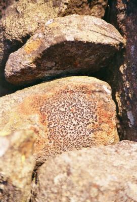 stone patterns.jpg