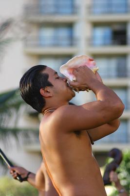 Waikiki Hula Show