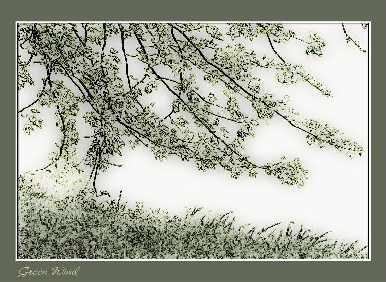 Green Wind