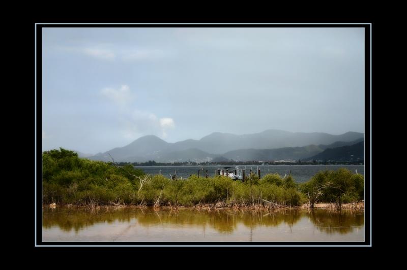 Layers of Landscape