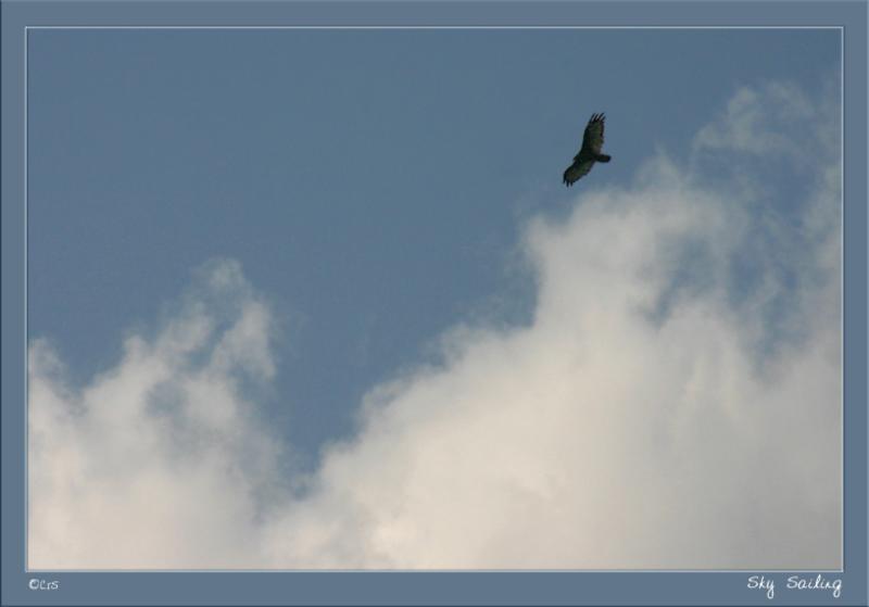Sky Sailing