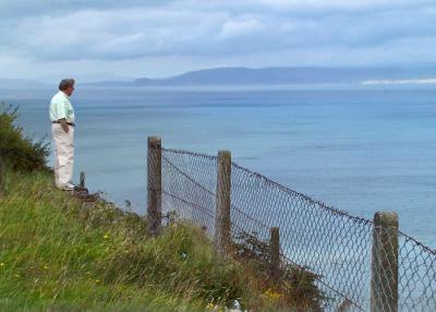 Taking it all in...