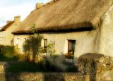 Golden Thatched Home