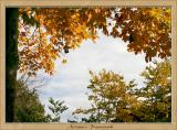 Autumns Framework