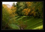 Strands of Sunlight