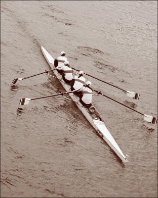 Rowers 1.jpg
