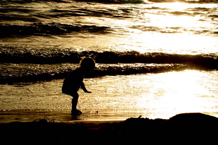 Sea of Life.jpg
