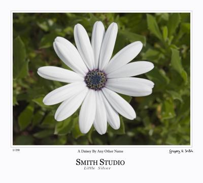 CRW_5026-w-frame.jpg