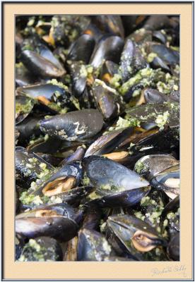 Mussels Speciality