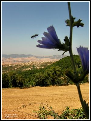 Monte Amiata region, view from Pienza, Castelluccio