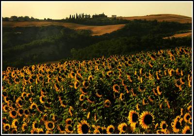 La Canonica, Asciano region