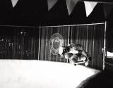 00813sc 27-07.jpg