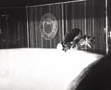 00815sc 27-11.jpg