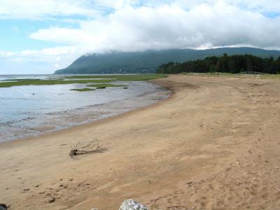 Plage au quai.JPG