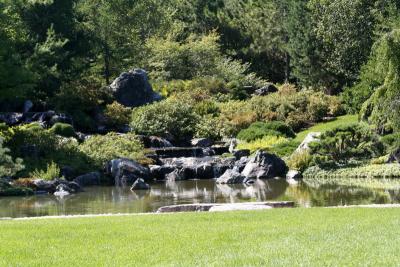 Jardin japonais.JPG