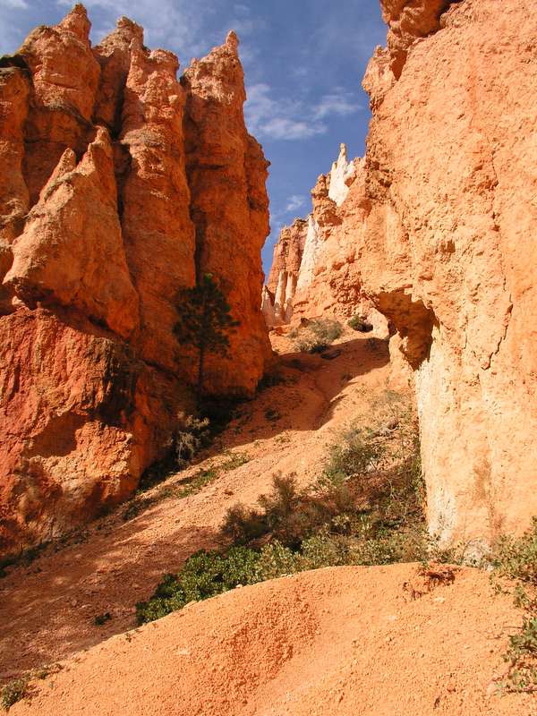 Bryce Canyon-6.jpg