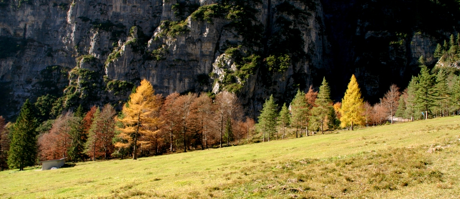 Val Cimoliana - colori autunnali.JPG