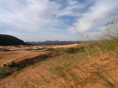 Sand dunes near Bryce Canyon.jpg