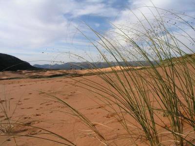 Sand dunes near Bryce Canyon-1.jpg
