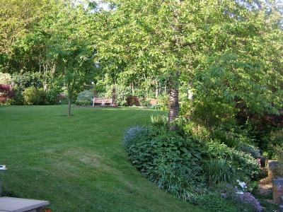 The Back Garden looking east