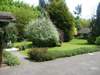 Front Garden