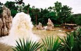 Jungle River Cruise