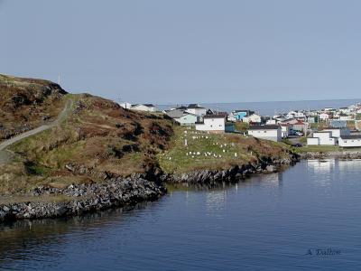 A Peaceful Day ~ Newfoundland