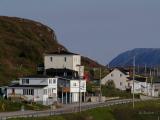 Another Newfoundland Scene