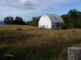Countryside