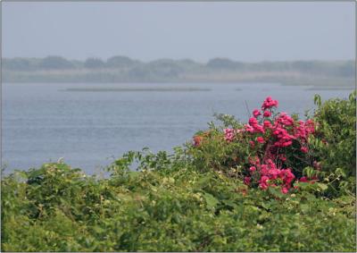 IMG_7608w.jpg