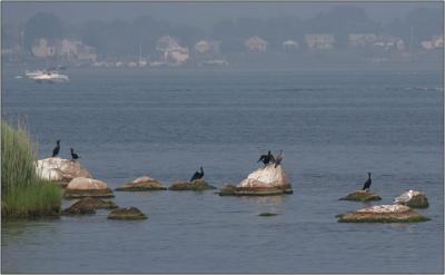 IMG_7621w.jpg