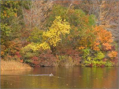 Cutler Park, October 2005