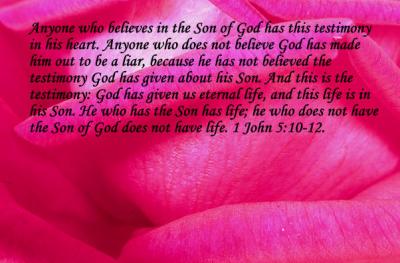 1 John 5_10-12.jpg